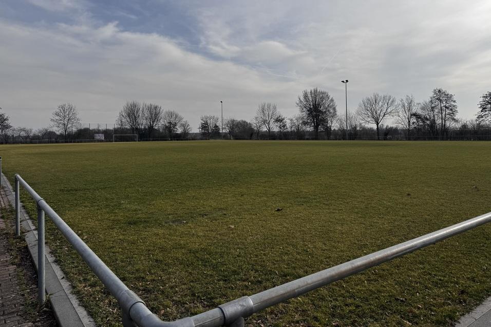 Gr&uuml;ne Fu&szlig;ballwiese mit zaun umgeben, B&auml;ume und flacher Himmel im Hintergrund.