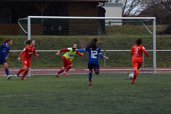 Spielszene eines Frauenfu&szlig;ballspiels mit zwei Mannschaften, einer Torh&uuml;terin und einem Ball auf dem Rasenfeld.