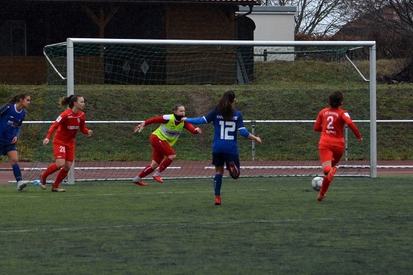Spielszene eines Frauenfu&szlig;ballspiels mit zwei Mannschaften, einer Torh&uuml;terin und einem Ball auf dem Rasenfeld.