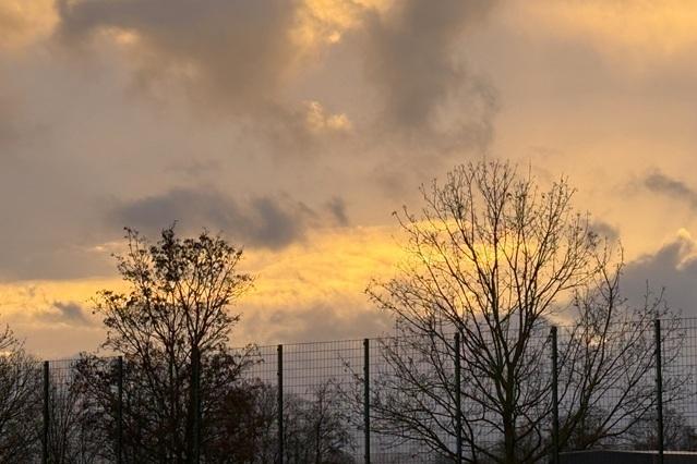 Silhouette von B&auml;umen vor einem orangefarbenen Himmel mit Wolken und einem Zaun im Vordergrund.